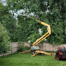 Why Choose Our Tree Removal Services in Rib Mountain, WI?