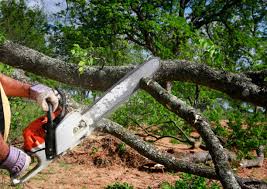 Leaf Removal in Rib Mountain, WI