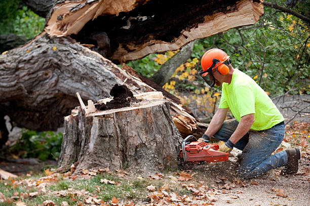 Soil Testing and Treatment in Rib Mountain, WI